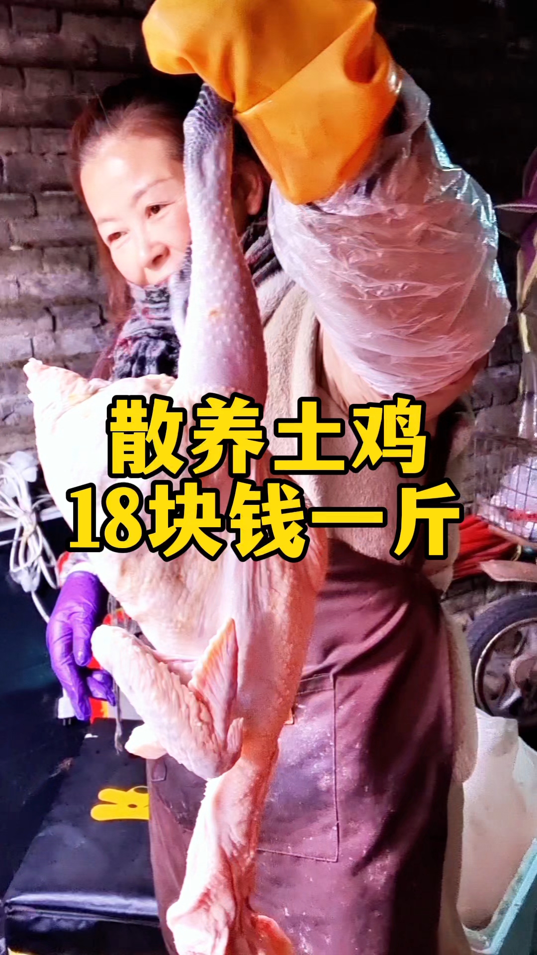 小南门早市18块钱一斤的散养土鸡,好食材只需要简单的烹饪!