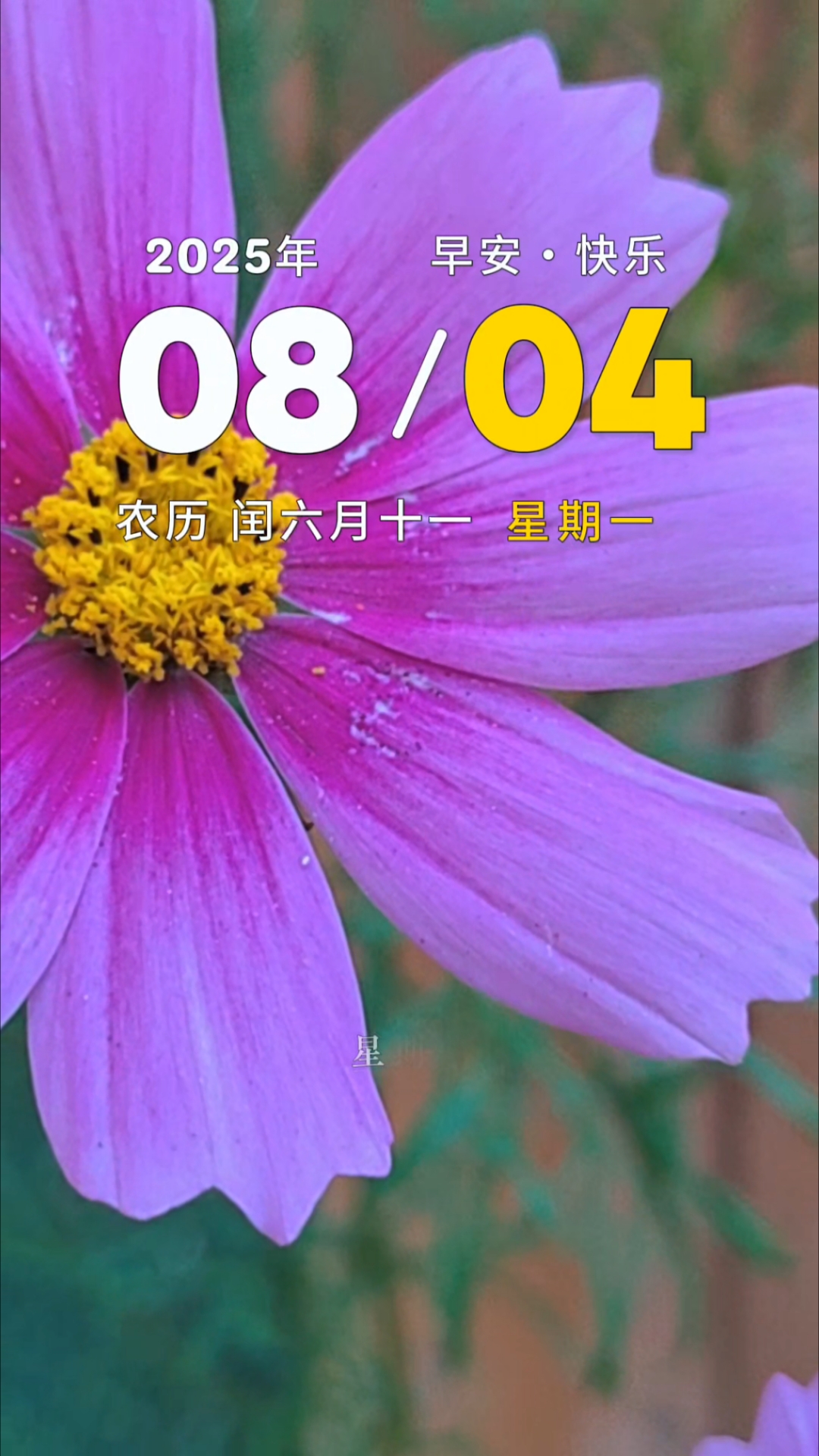 早安,心有半亩花田藏于世俗人间,种下美好和希望期待诗和远方