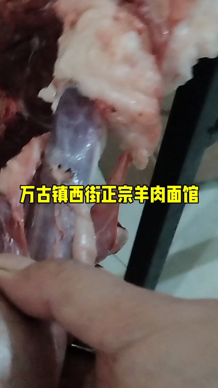 万古特色羊肉卤