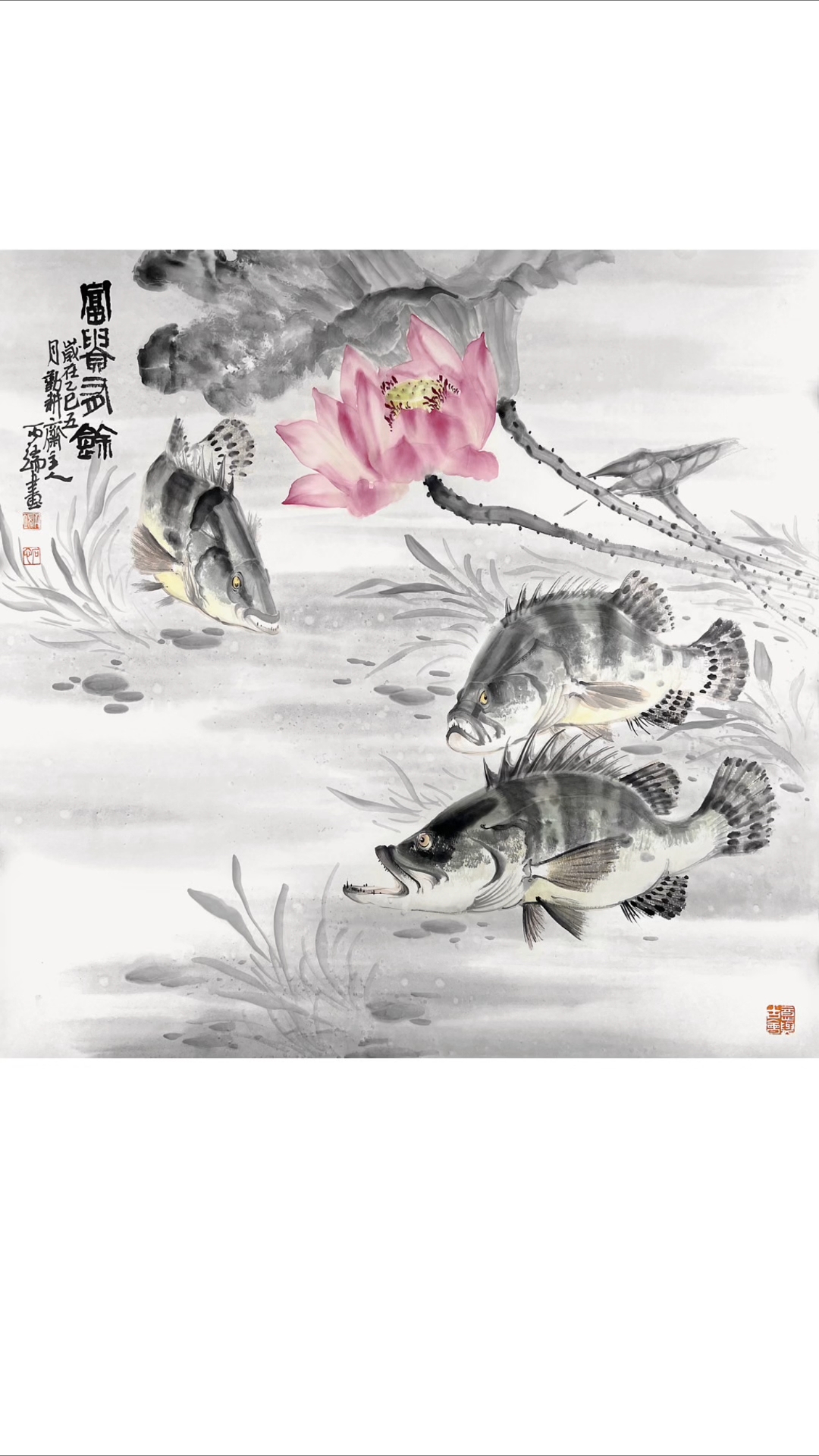 四尺斗方荷花鳜鱼