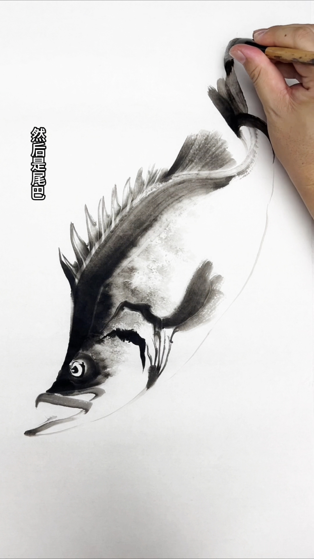 画鳜鱼全过程