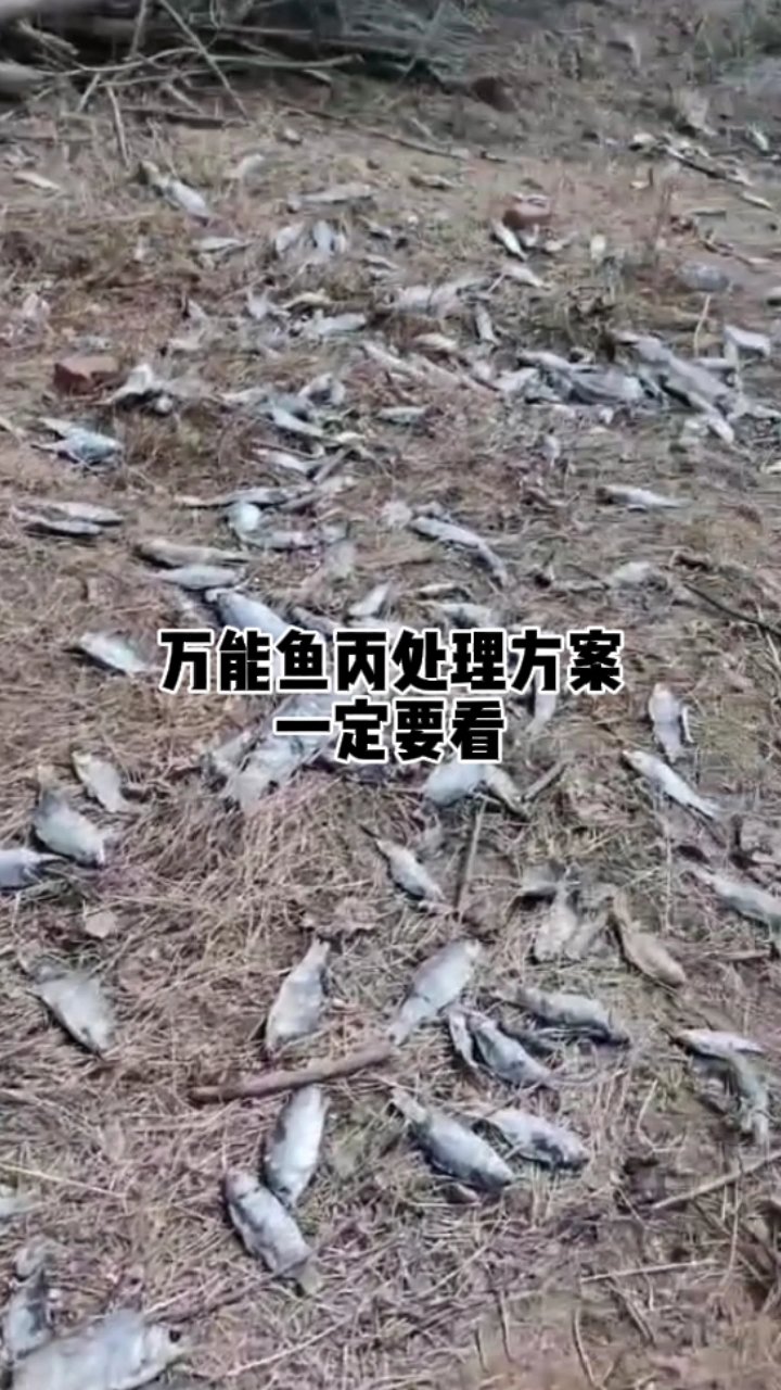 四大家鱼病害万能解决方案