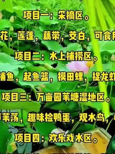 亲子游玩好去处 人气爆棚 旅行推荐 网红景区 清凉一夏 白洋淀景区内渔家游推出:项目一:采