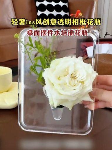 轻奢ins风创意透明相框花瓶 桌面摆件水培插花瓶 一束花的仪式感 爱生活爱鲜花 生活仪式感