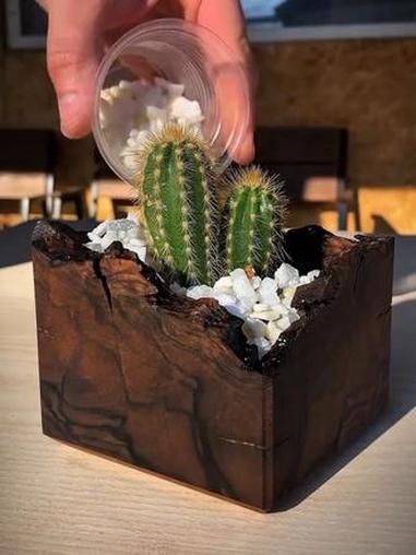 木工木作,diy原木花盆制作过程 木工DIY 手工 木作
