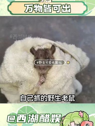 孩子们赚钱的外快这不就来了 出物 二手 抽象 万万没想到 闲鱼