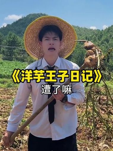 洋芋王子挖洋芋日记 贵州 贵州方言 搞笑 洋芋 洋芋国