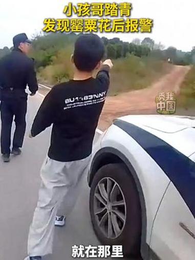 近日,浙江金华,赤松派出所接到小朋友报警,称其在野外踏青时发现疑似罂粟的植物#秀我中国