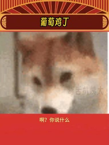 快来个济宁人说一下这是什么味道的呀!葡萄鸡丁 美食 娱乐评论大赏