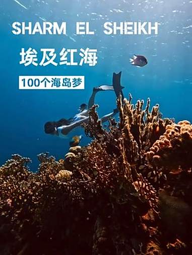 实现100个海岛梦:埃及红海 第六家:埃及沙姆沙伊赫四季酒店当阳光穿透红海的琉璃,珊瑚成为