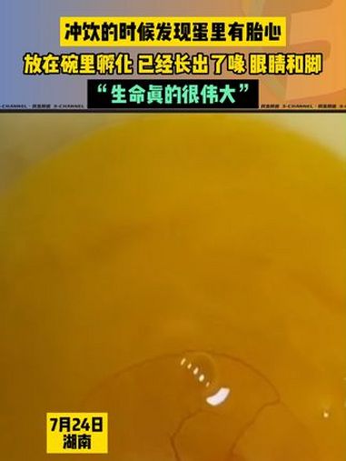 冲饮的时候发现蛋液里有胎心,男子放进碗里小心孵化。没想到居然长出了眼睛和脚
