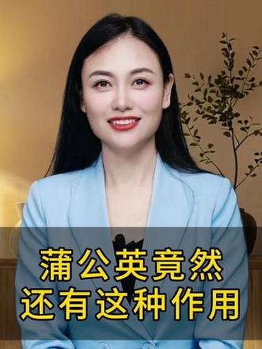 蒲公英竟然还有这种作用