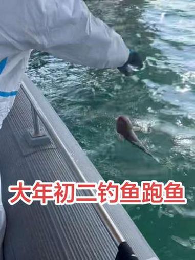 大年初二钓鱼跑鱼 大年初二钓鱼跑鱼#用一张照片证明你是钓友 #不能因为任何事而耽误钓鱼 #