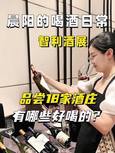 晨阳的喝酒日常,智利有什么好喝的葡萄酒?今天参加智利酒展,评测很热门的几大智利酒。葡萄酒 