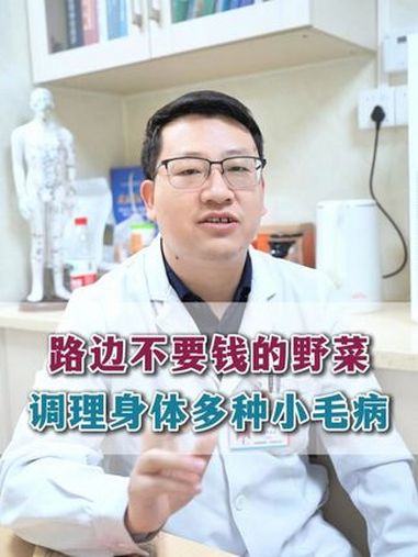 路边不要钱的野菜,调理身体多种小毛病 泥胡菜 野菜 中药材 医学科普 抖出健康知识宝藏