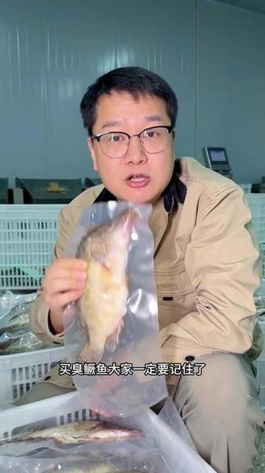 还不知道臭鳜鱼怎么选？把你的招牌发到评论区，我帮你看 臭鳜鱼 专鳜臭鳜鱼 源头厂家 安徽特