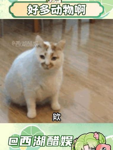 好多动物啊 logo 图标设计 内容过于真实