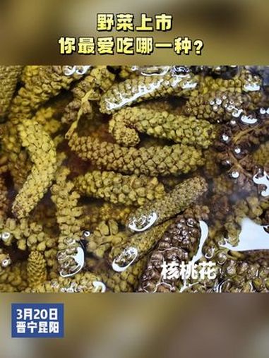 野菜上市,你最爱吃哪一种?有一种叫云南的生活 旅居生活 春天的味道