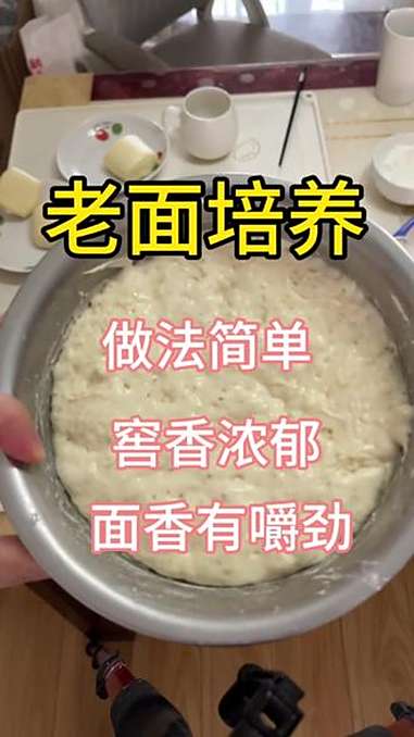 学会这个老面做包子馒头嘎嘎香嘎嘎好吃 老面 老面做法 老面培养