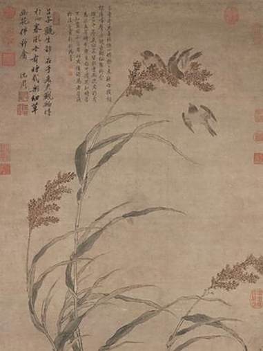 大明锦衣卫画花鸟神品,高粱雀鸟,展现生机盎然 水墨画 国画 @DOU+小助手