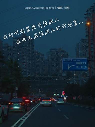 “我不在任何人的计划里,稍微累一点的关注,我都不想去维持,一是没时间,二是没必要……” 情