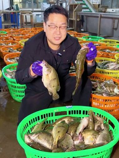 你还在外面饭店吃一两百一条的高价臭鳜鱼吗 臭鳜鱼 专鳜臭鳜鱼 源头厂家 安徽特产 臭鳜鱼做