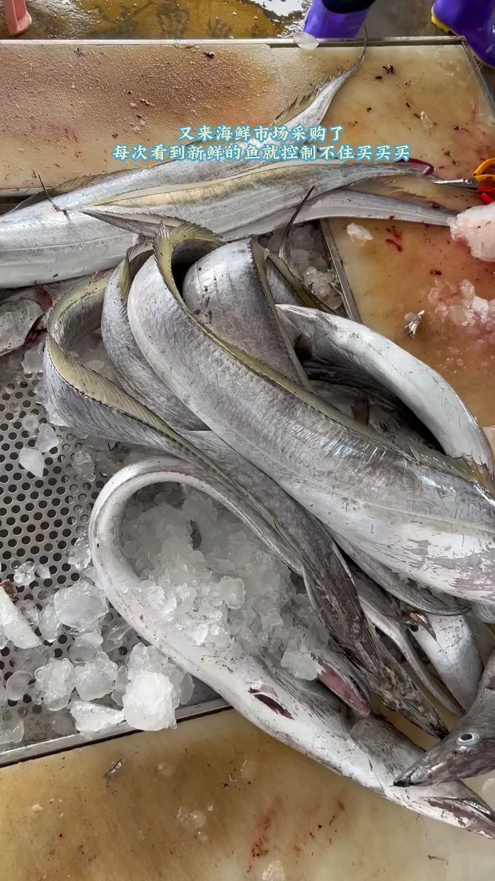 又来海鲜市场买鱼了