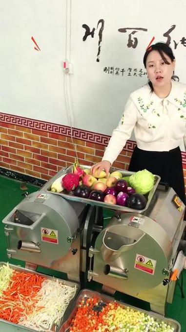 #小型切菜机#学校食堂#切片切丝切丁神器