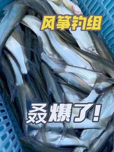 降温天气,风筝钓组YYDS 天气降温,风筝钓组优势更加明显,小饵远投,不失泳姿,比根钓钩更