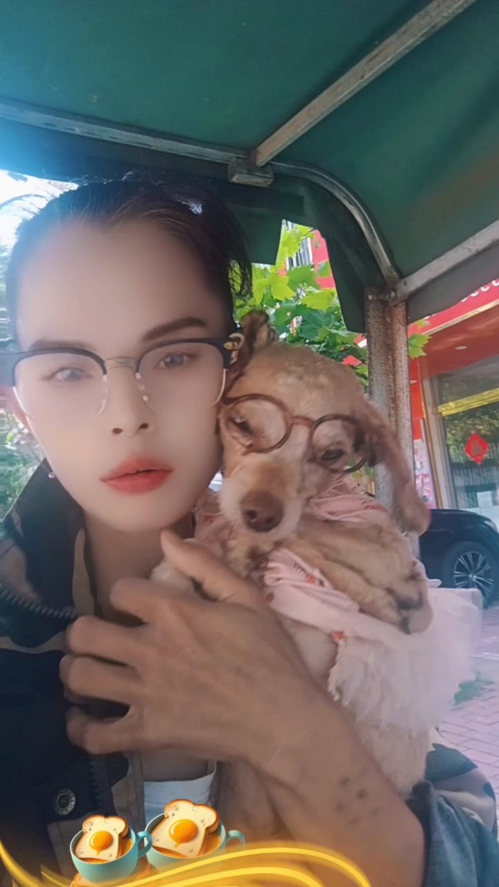 天上的鱼，风中的依偎