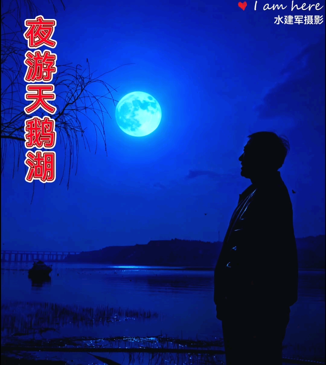 #水建军作品#视频号创作#手机拍摄原创视频#水建军摄影:夜游三门峡天鹅湖国家湿地公园。