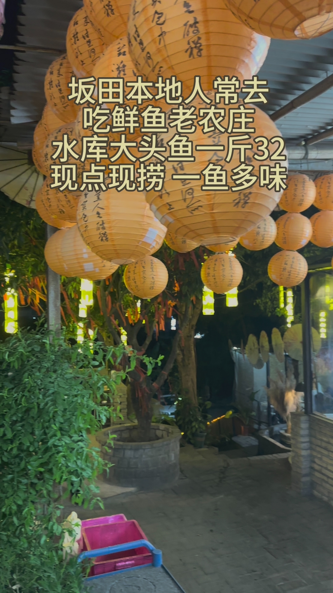 坂田本地人常去好地方～吃鲜鱼老农庄！水库大头鱼一斤32