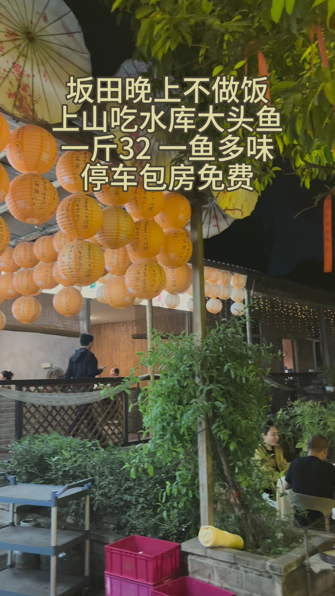 坂田晚上不做饭！上山找个老农庄吃水库大头鱼！
