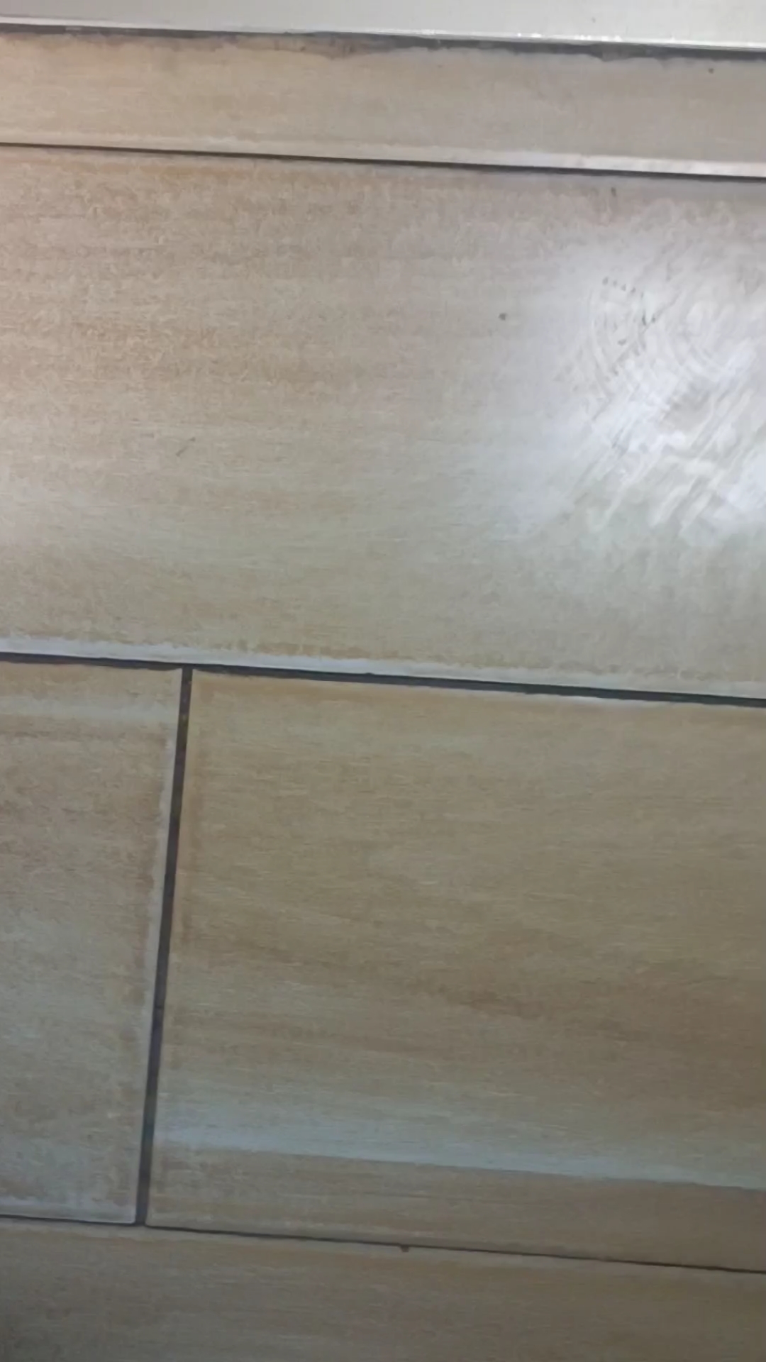 我竟然发现企鹅在跑步