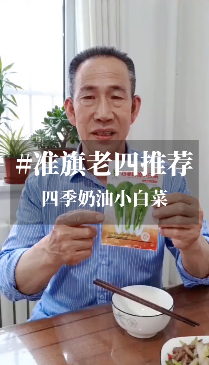 四季奶油小白菜