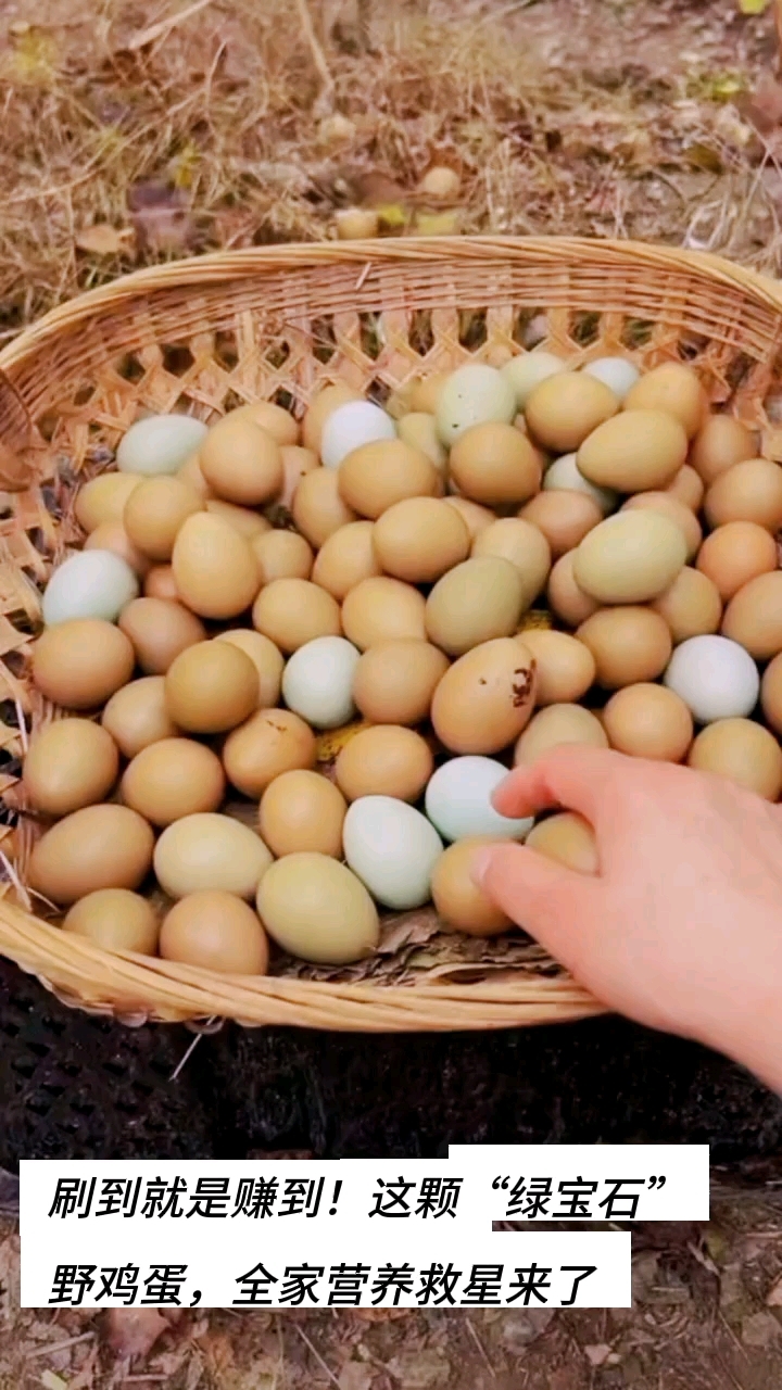 老人补钙/孩子长个必看!深山绿壳野鸡蛋,高钙营养全解析