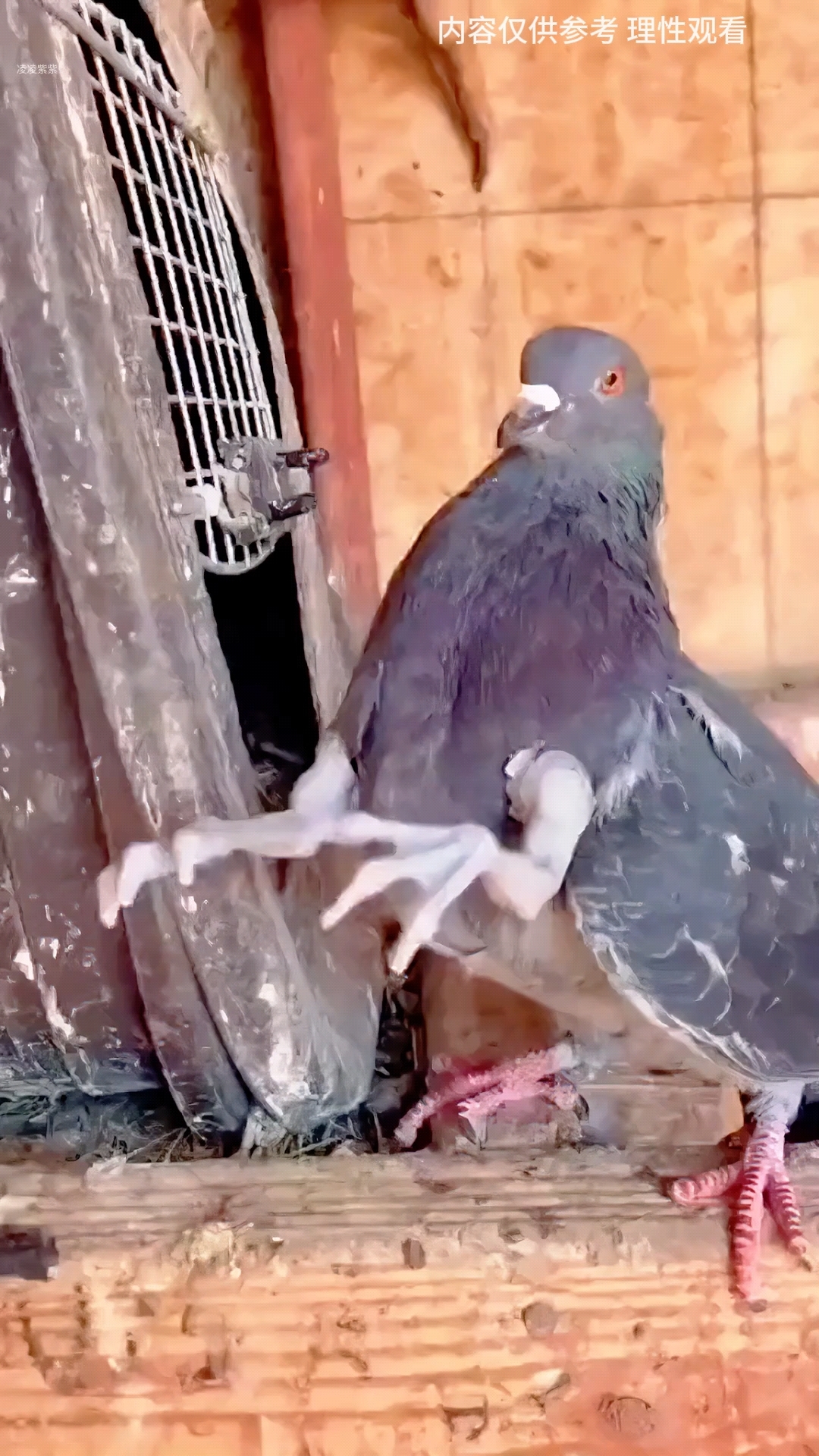 核污染的变异生物,太恐怖了