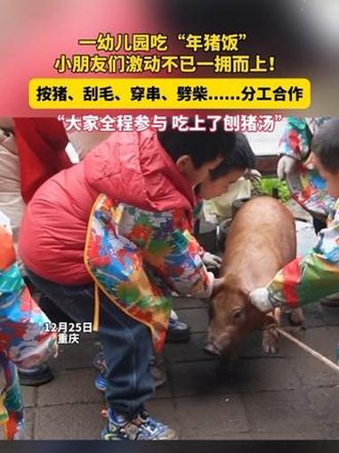 12月25日，重庆。重庆一幼儿园吃“年猪饭”，小朋友们激动不已一拥而上！按猪、刮毛、穿串、