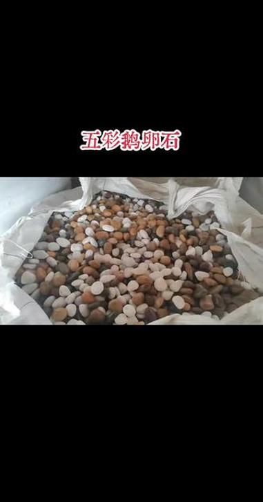 #五彩鹅卵石厂家 广东五彩鹅卵石批发市场