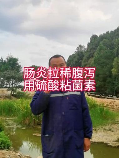 养鸡常见问题,拉稀腹泻以及肠炎如何治 鸡病防治 农村散养土鸡 养鸡技术 养鸡小妙招