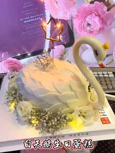 米兰西饼 蛇 生日蛋糕 蛋糕
