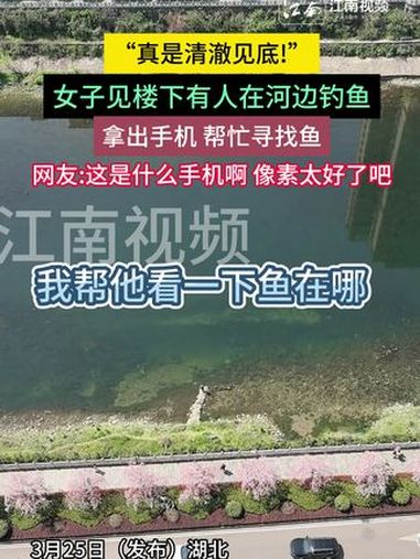 “真是清澈见底!”女子见楼下有人在河边钓鱼,拿出手机 帮忙寻找鱼。网友:这是什么手机啊 像