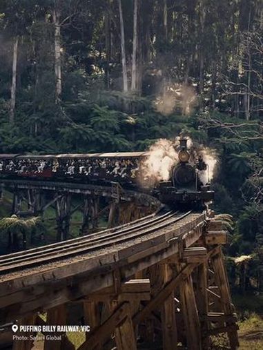 普芬比利蒸汽火车Puffing Billy Railway, VIC搭乘蒸汽火车穿梭于翠绿
