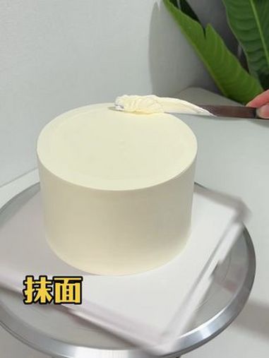 抖音网红蛋糕 生日蛋糕裱花教程 蛋糕装饰 蛋糕 视频同款左下角