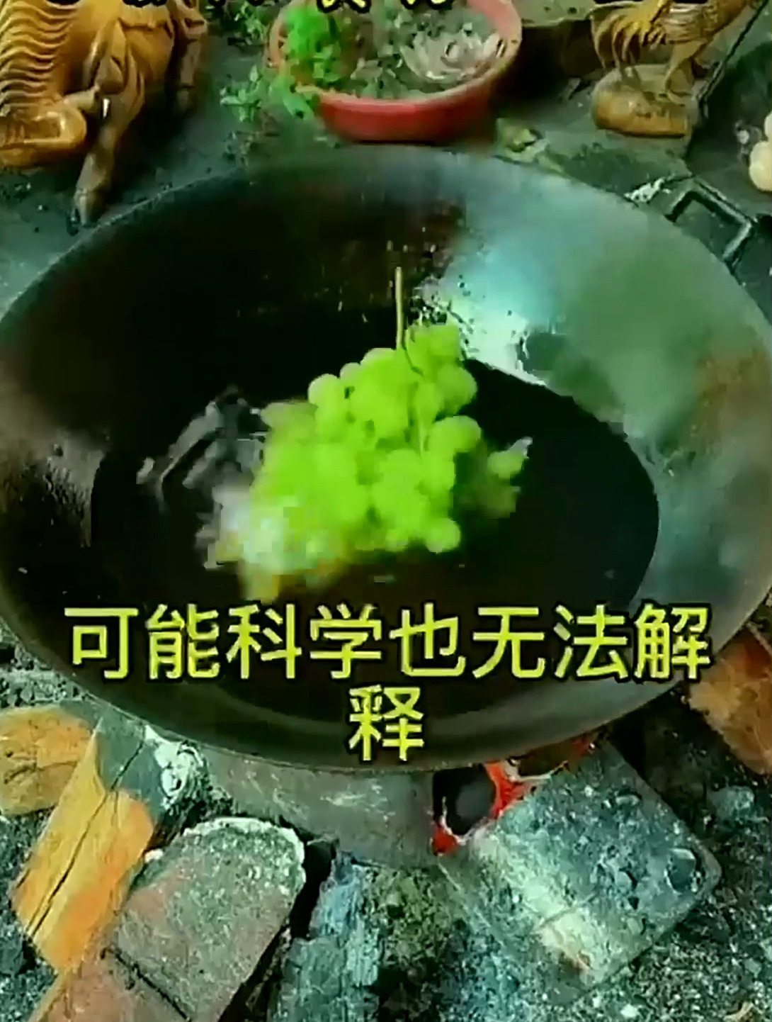有了这本百病食疗谱,咳嗽发热等小疾,日常的青菜瓜果都能有奇效