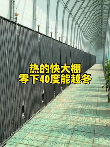 太阳热的快大棚,零下三十度能越冬!专业建棚 大棚种植 蔬菜种植 现代化农业大棚