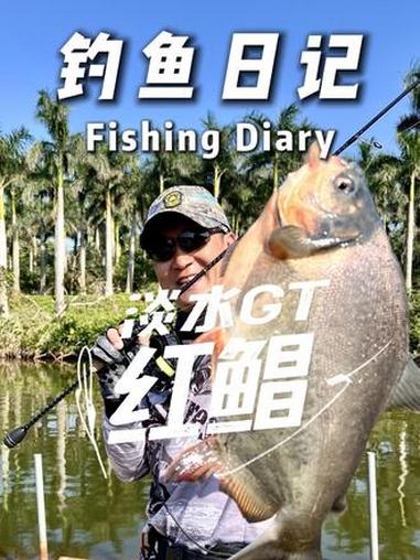 我们来到了海南，带着希玛三代702L规格来挑战赋有“淡水GT”称号的红鲳鱼，一方面解锁了红