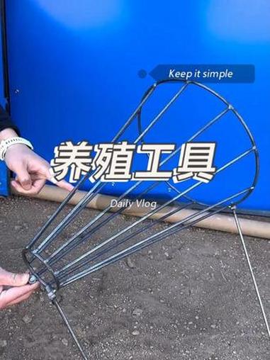 用上这个杀鸡神器架子,一个人就可以搞定。#农村生活#养鸡#养殖场#好物推荐