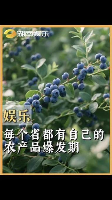 #每个省都有自己的农产品爆发期 好想这么爽吃一次蔬菜水果啊 #蒜薹 #豆角 #蓝莓 #冷知