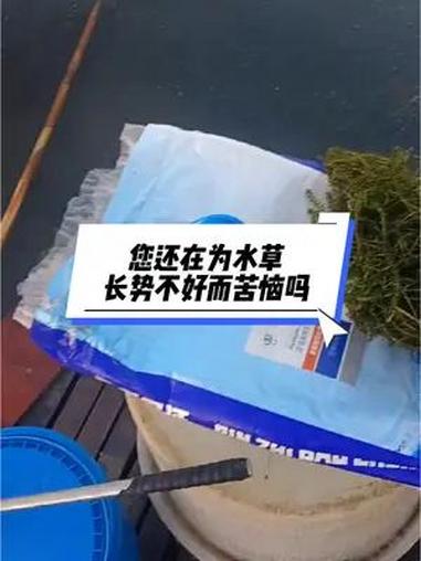 热门 您还在为水草长势不好而苦恼吗 四大家鱼养殖 水产养殖技术 鱼虾蟹